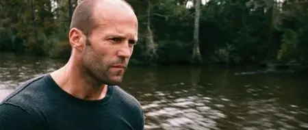 The Mechanic (2011)