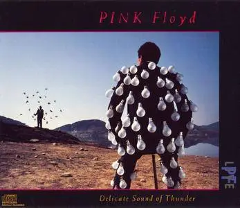 Pink Floyd - Delicate Sound Of Thunder (1988)