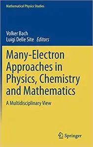 Many-Electron Approaches in Physics, Chemistry and Mathematics: A Multidisciplinary View