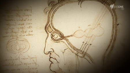 SBS - Inside the Mind of Leonardo (2014)