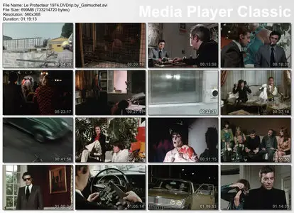 Le Protecteur (1974) [Re-UP]