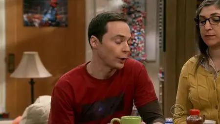 The Big Bang Theory S11E09