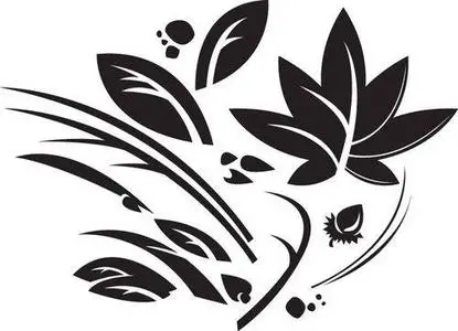 LeafyPod Vector Image