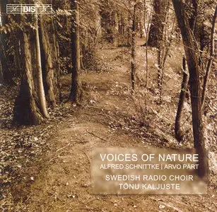 Alfred Schnittke, Arvo Pärt - Voices of Nature - Swedish Radio Choir - Tonu Kaljuste