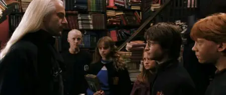 Harry Potter e la Camera dei Segreti (2002)