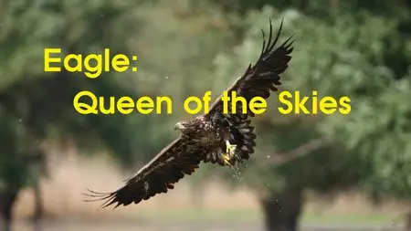 National Geographic - Eagle: Queen of the Skies (2015)