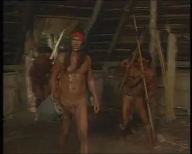 At Play in the Fields of the Lord (1991)