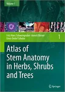 Atlas of Stem Anatomy in Herbs, Shrubs and Trees: Volume 1