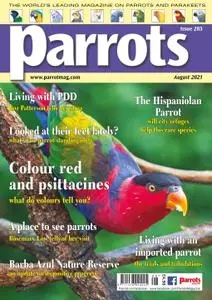 Parrots – August 2021