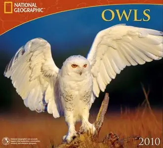 National Geographic - Owls