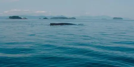 Fathom (2021)