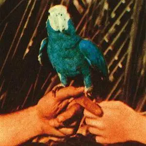 Andrew Bird - Are You Serious [Deluxe Edition] (2016)