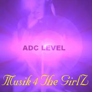 Adc Level - CD 40: 2006-2009