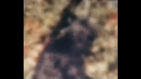 History Channel MonsterQuest Bigfoot