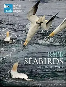 RSPB Seabirds