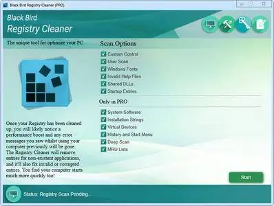 Black Bird Registry Cleaner Pro 1.0.0.9