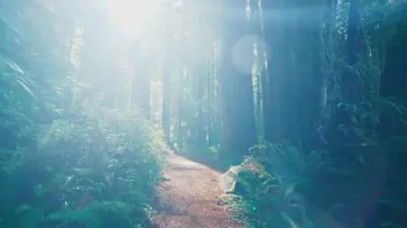 A World of Calm S01E05