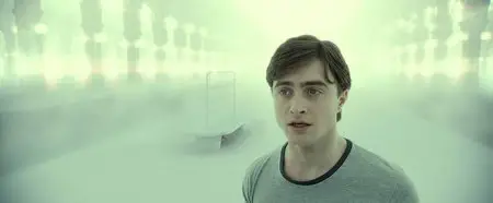 Harry Potter and the Deathly Hallows: Part 2 (2011)