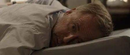 L'hermine (2015)