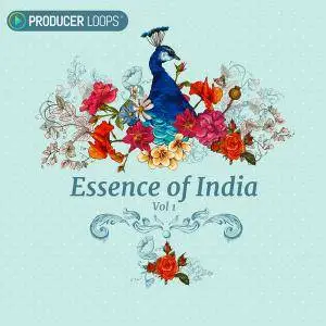 Producer Loops Essence of India Vol 1 ACiD WAV