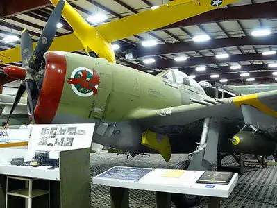 Republic P-47D Thunderbolt Walk Around