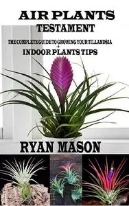 Air Plants Testament: The Complete Guide To Growing Your Tillandsia + Indoor Plants Tips