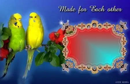 Avermagic Templates 1