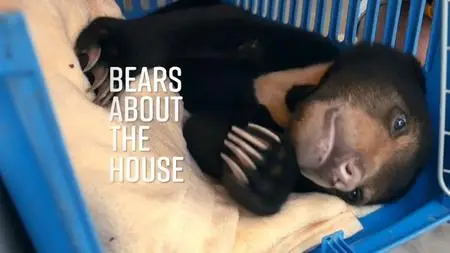 BBC - Bears About the House (2020)