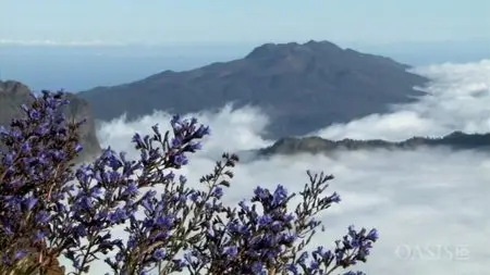 Alas Cinematografia - Canary Islands: Biodiversity Redoubts (2011)