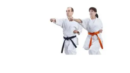 Learn Beginner Tang Soo Do Karate - Level 5