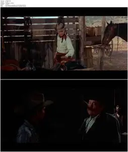 The Texican (1966)