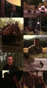 Grizzly Falls (1999)