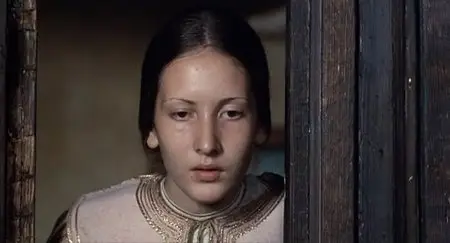 Il Decameron / The Decameron (1971) [The Criterion Collection]