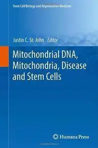 Mitochondrial DNA, Mitochondria, Disease and Stem Cells (Repost)