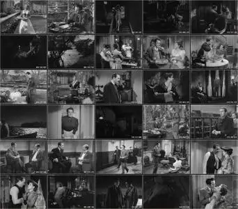 House by the River (1950)