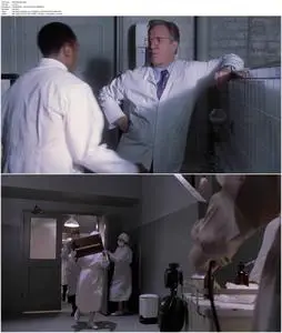 Something the Lord Made (2004)