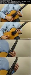 Learn Classical Guitar Technique and play "Spanish Romance"