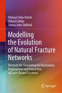 Modelling the Evolution of Natural Fracture Networks (Repost)