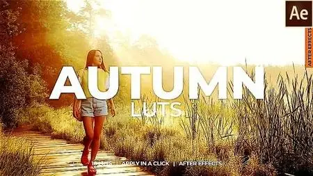 Autumn LUTs 1061202 - After Effects Presets