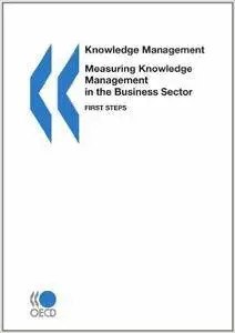 Knowledge management Measuring Knowledge Management in the Business Sector: First Steps