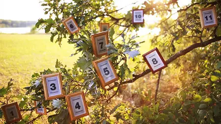 Magic Tree Photo Slideshow - Project for After Effects (VideoHive)