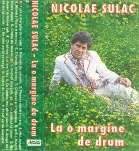 Nicolae Sulac - La o margine de drum