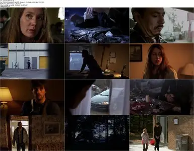 Charlie Zone (2011)