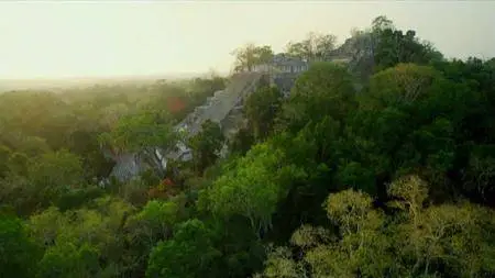 PBS - Wonders of Mexico: Forests of the Maya (2018)