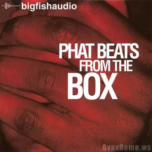 Big Fish Audio Phat Beats From The Box CDDA WAV ACID