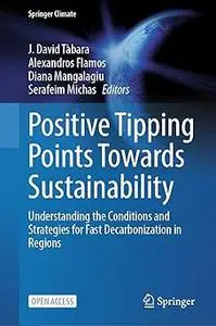 Positive Tipping Points Towards Sustainability: Understanding the Conditions and Strategies for Fast Decarbonization in