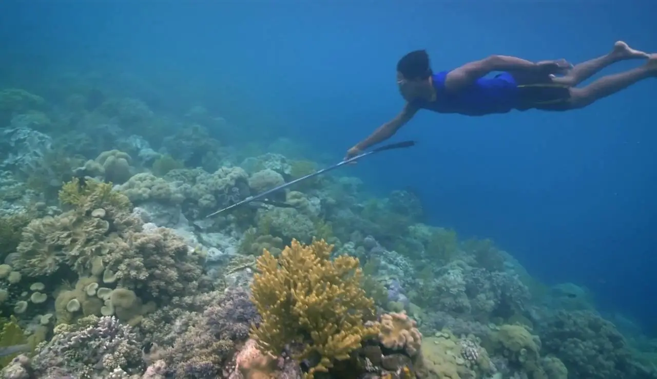 BBC - Rise of the Continents (2013) [Repost]