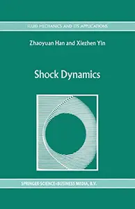 Shock Dynamics