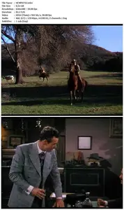 Horizons West (1952)