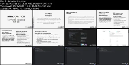 Python Software, Application, Games, Automation  Development